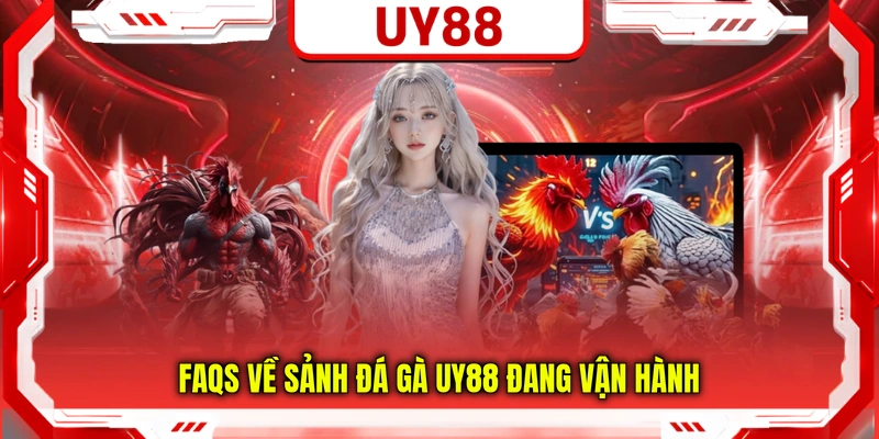 FAQs về sảnh đá gà UY88 đang vận hành