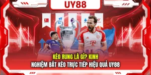 Kèo Rung Là Gì? Kinh Nghiệm Bắt Kèo Trực Tiếp Hiệu Quả UY88